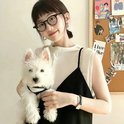 间谍过家家 星影影视app下载入口 动漫喜剧